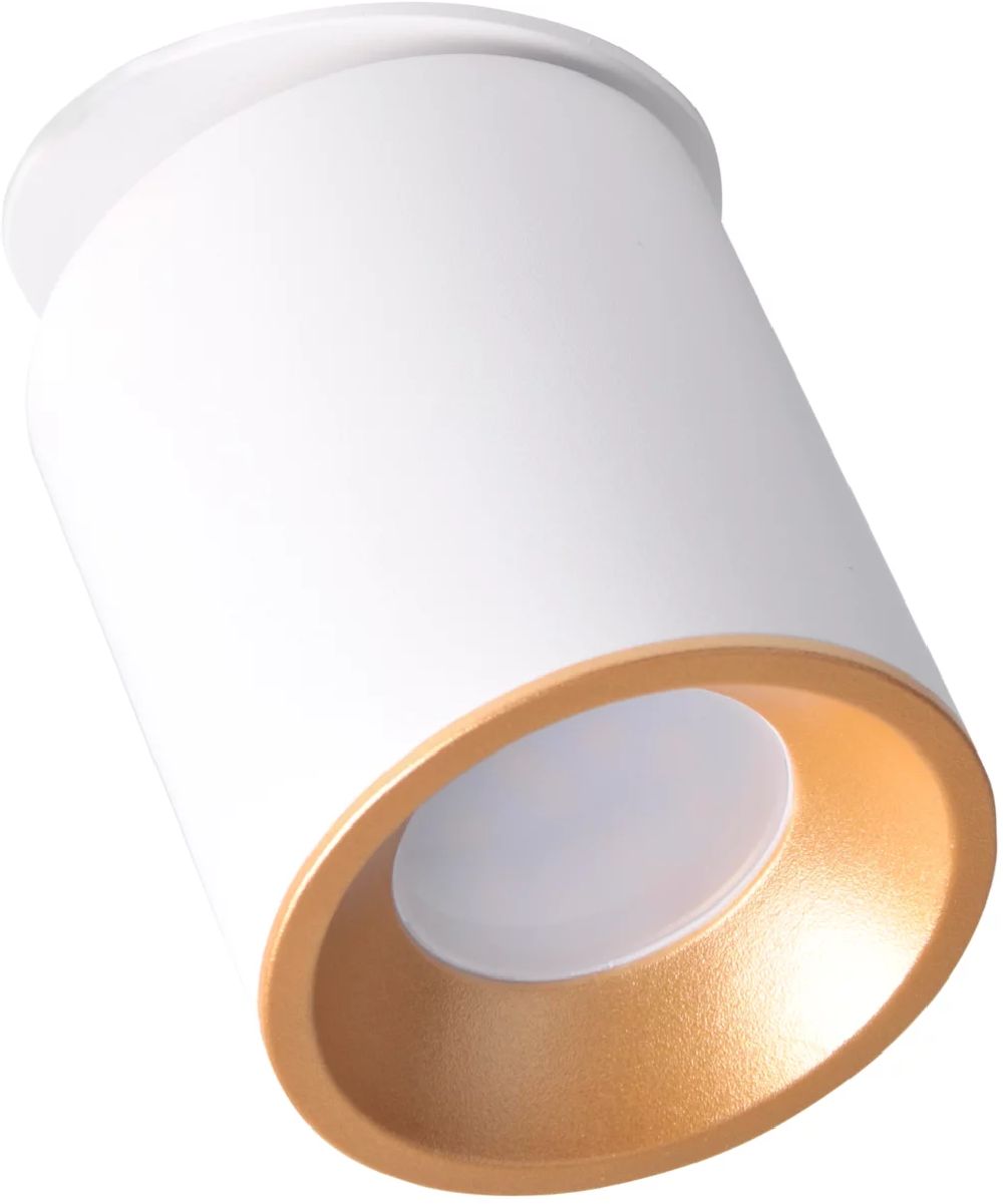 Goldlux Haron lampa podsufitowa 1x10 W biała 314215