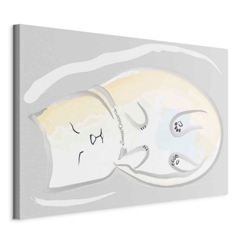 Obraz Artgeist Zaspany kotek 30 x 20 cm flizelina 1 szt