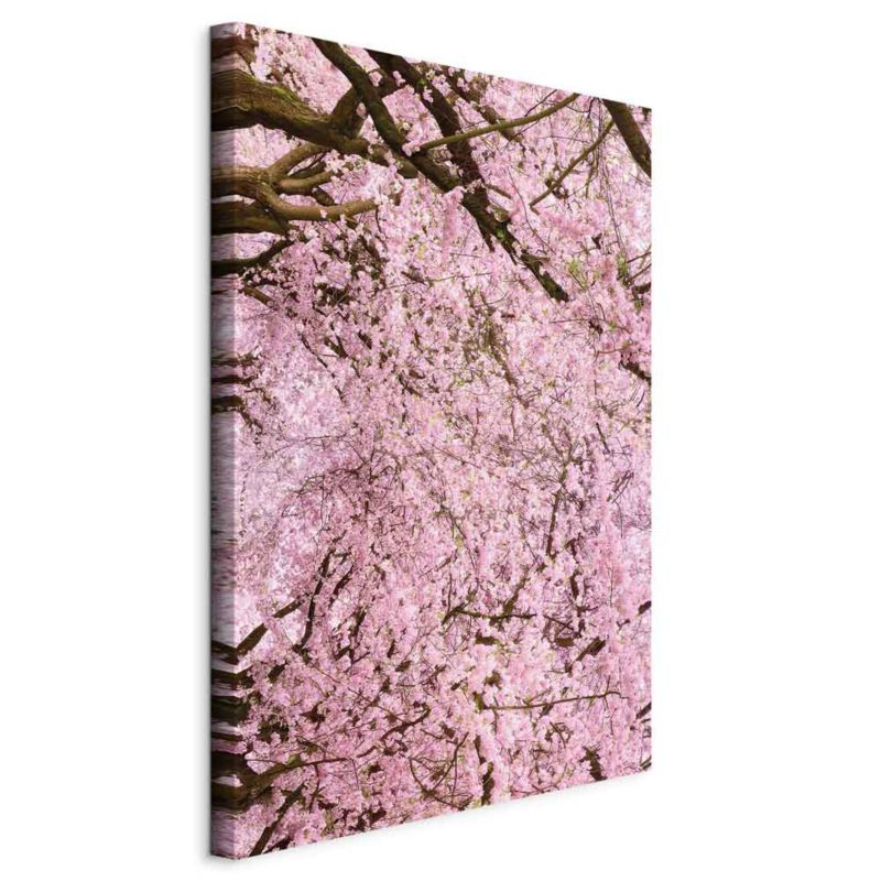 Obraz Artgeist Drzewo wiśni 20 x 30 cm flizelina 1 szt