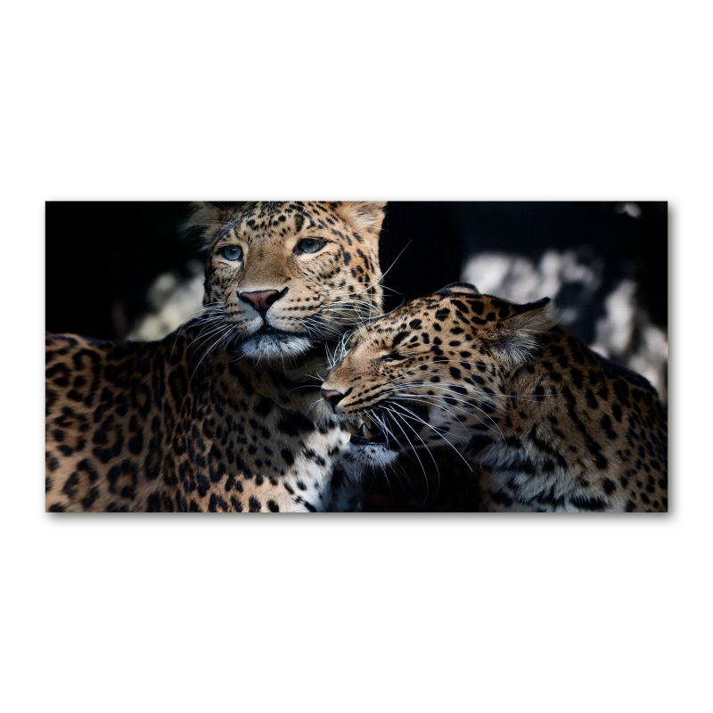 Obraz canvas Tulup Dwa lamparty 140x70 cm 1 szt.