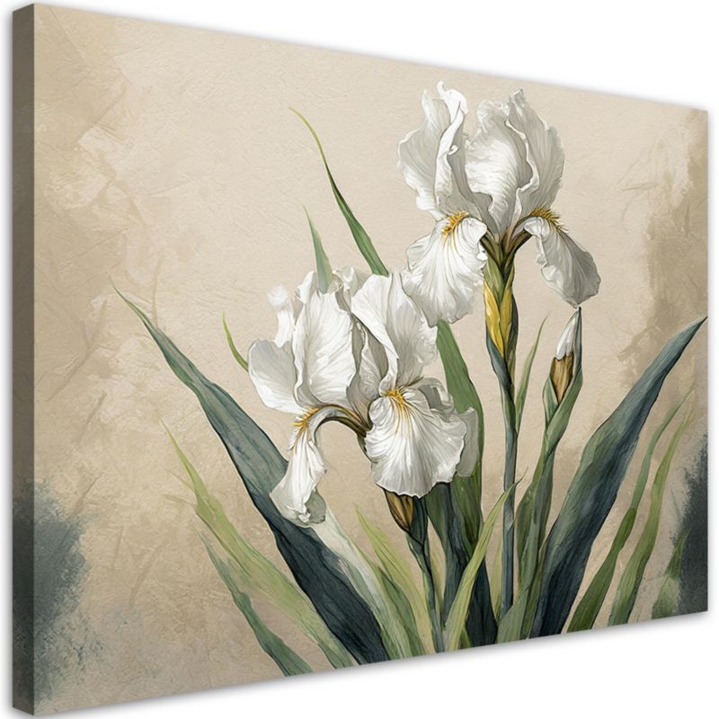 Obraz do salonu sypialni Feeby Irysy Białe Kwiaty 60x40 cm 1szt
