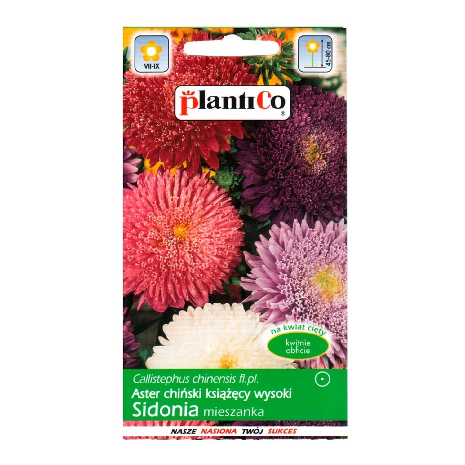 Aster Sidonia mix