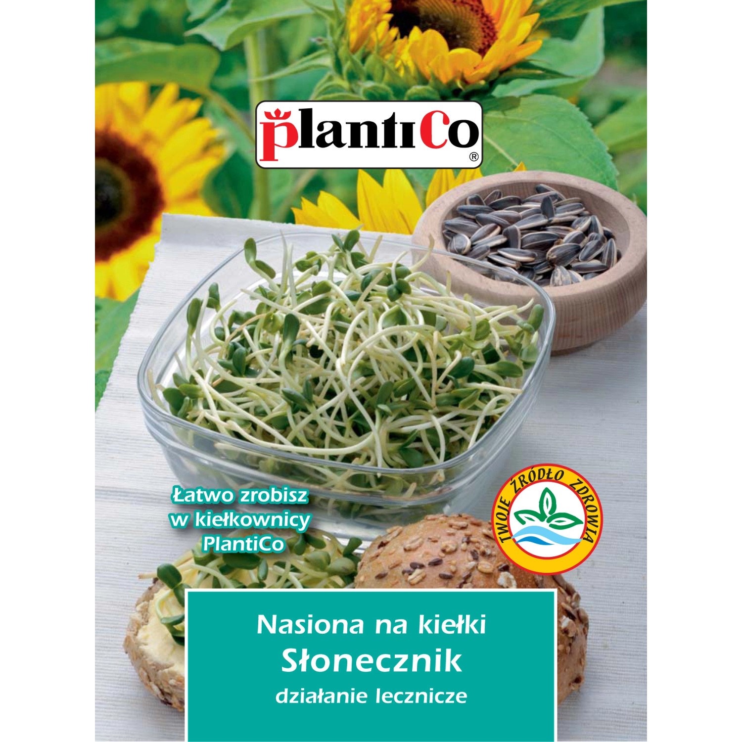 Nasiona na Kiełki słonecznika