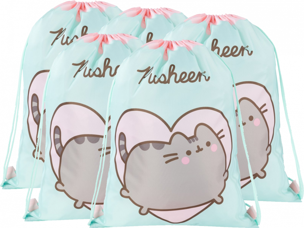 5x Worek na buty Pusheen Mint