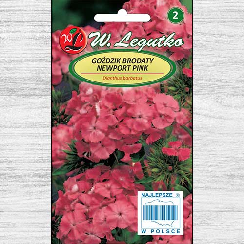 1 pac, Garoafă Newport Pink Legutko - Semințe: Mod de ambalare: 0.5 g