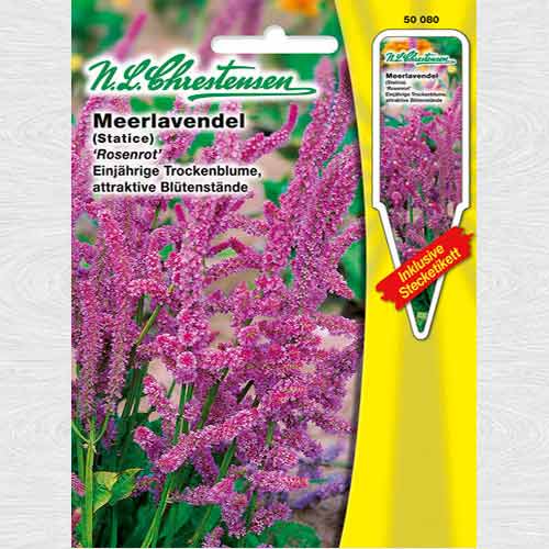 1 pac, Limonium suworowii Rosenrot - Semințe: Mod de ambalare: 1 pac