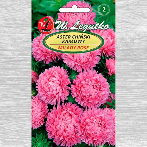 1 pac, Ochiul boului Milady Deep Rose - Semințe: Mod de ambalare: 1 g