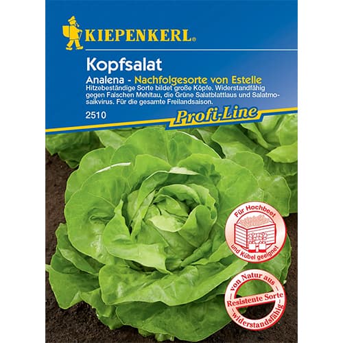 1 szt, Saláta zöld Analena - Magok: Mod de ambalare: 1 db