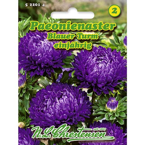 1 szt, Paeonienaster Blauer Turm - Samen: Ilość w opakowaniu: 1 Stück