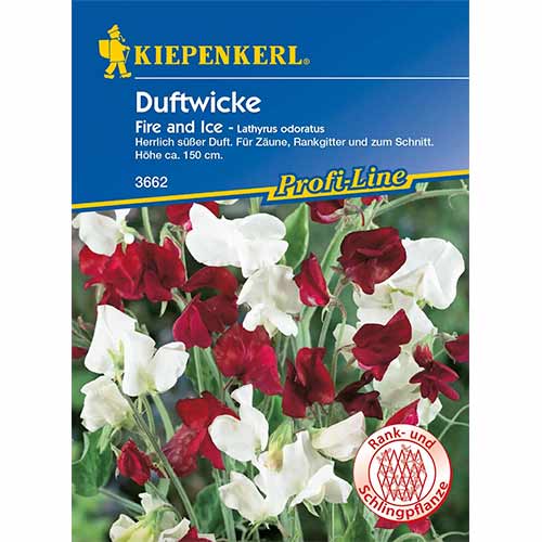 1 szt, Duftwicke Fire and Ice - Samen: Ilość w opakowaniu: 1 Stück