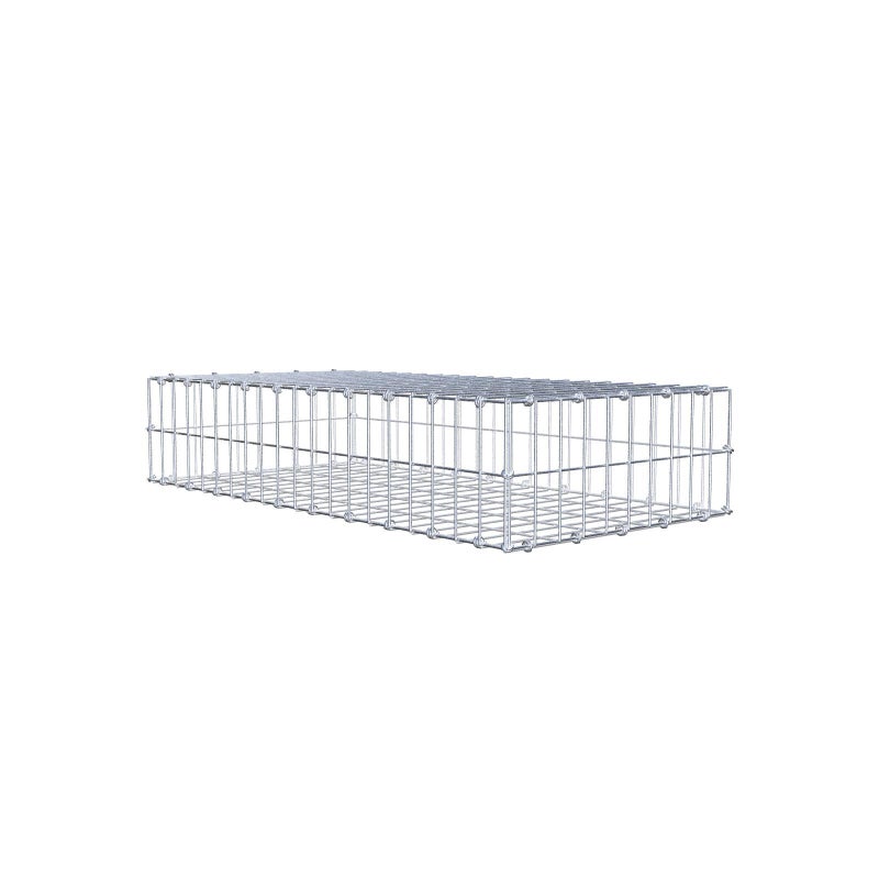 Gabion 100 cm x 20 cm x 50 cm (dł. x wys. x gł.), rozmiar oczek 5 x 10 cm, pierścień spiralny