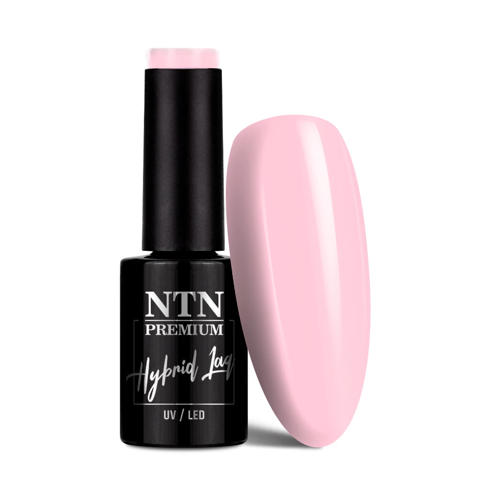 Lakier hybrydowy Ntn Premium Delight Sorbet Collection 5 g Nr 148
