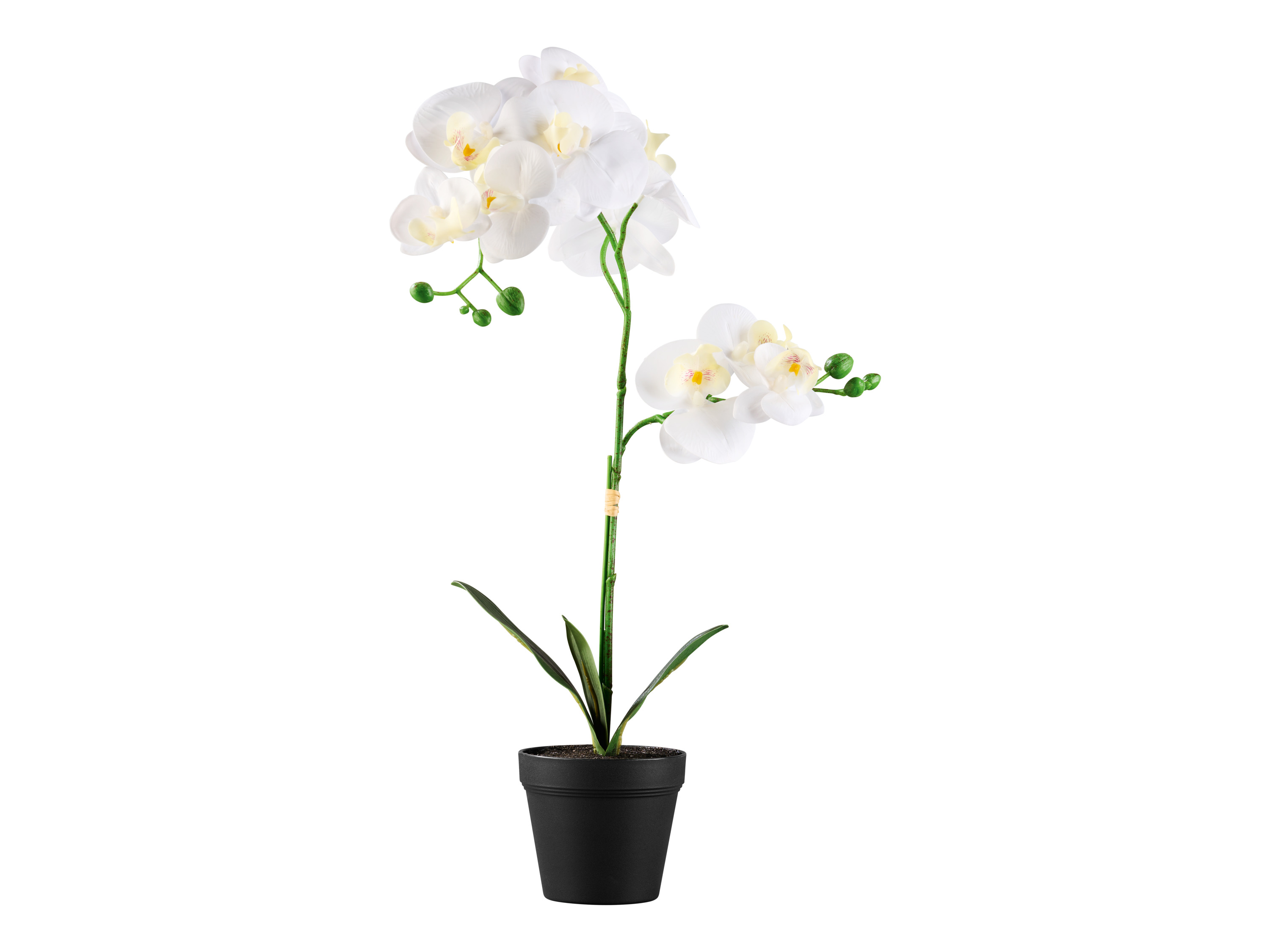 Livarno home Sztuczny kwiat Orchidea \ Trawa ozdobna \ Hortensja Orchidea