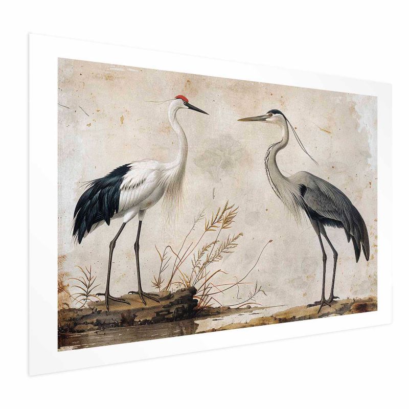 Plakat Artgeist Ptaki z ryciny 90x60 cm bez ramy 1 szt