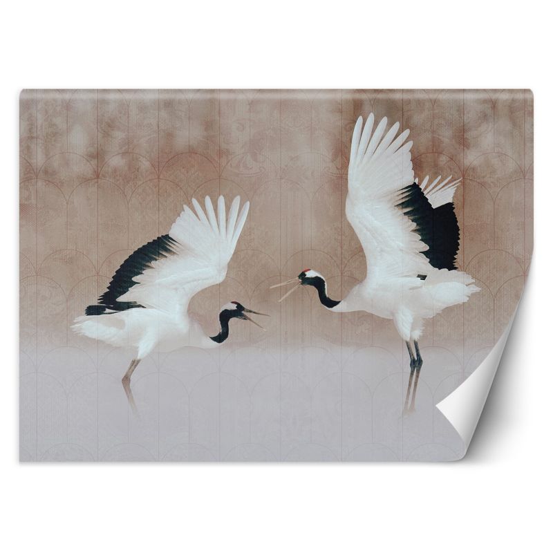 Fototapeta Feeby Czaple Ptaki Beż 350x245 1 szt