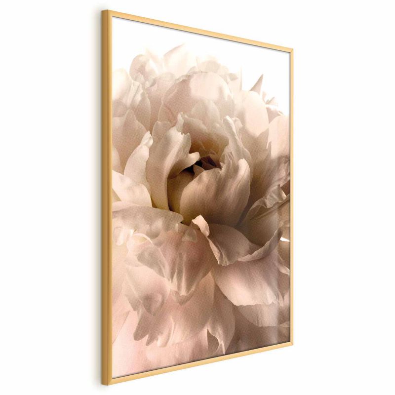 Plakat Artgeist Miękkie płatki 21x30 cm z ramą złotą 1 szt