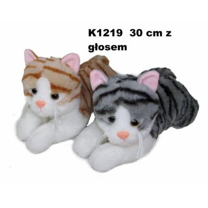 KOT GŁOS 30