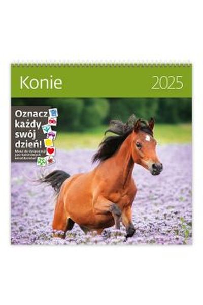 KALENDARZ 30/30 KONIE