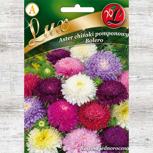 1 szt, Aster chiński pomponowy Bolero, mieszanka - Nasiona: Ilość w opakowaniu: 0.5 g