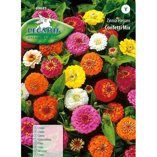 1 szt, Cynia Confetti, mix kolorow - Nasiona: Ilość w opakowaniu: 170 szt.