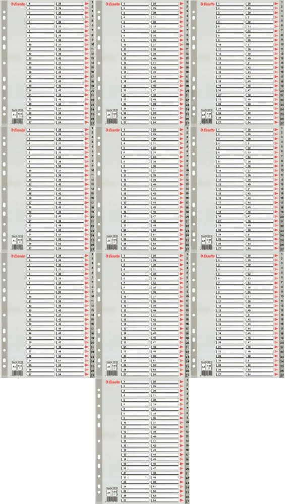 10x Przekładki do segregatora Esselte, plastikowe, numeryczne, A4, 1-54 kart, szary