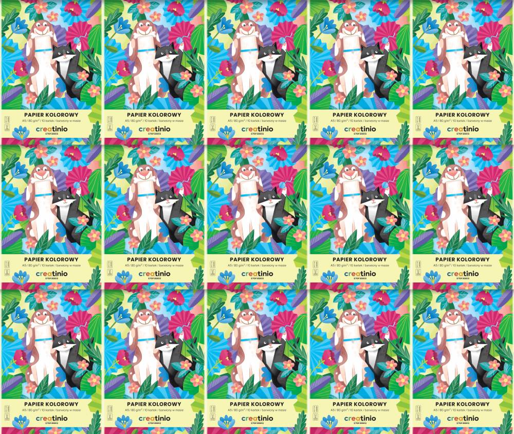 15x Zeszyt papierów kolorowych TOP 2000 Creatino, A5, 10 kartek, mix kolorów