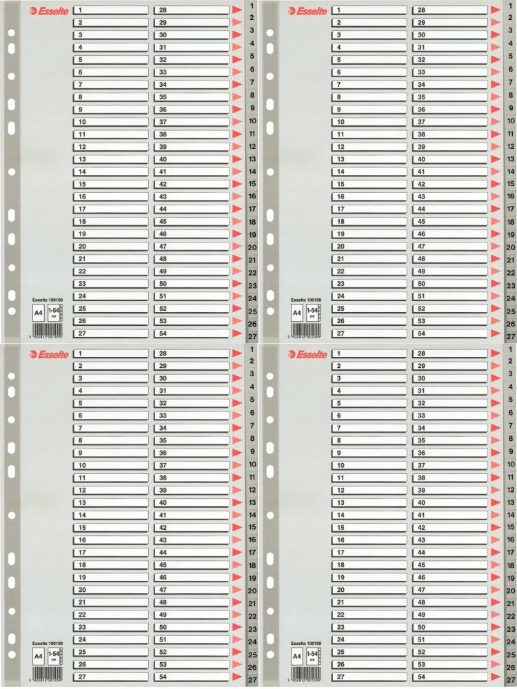 4x Przekładki do segregatora Esselte, plastikowe, numeryczne, A4, 1-54 kart, szary