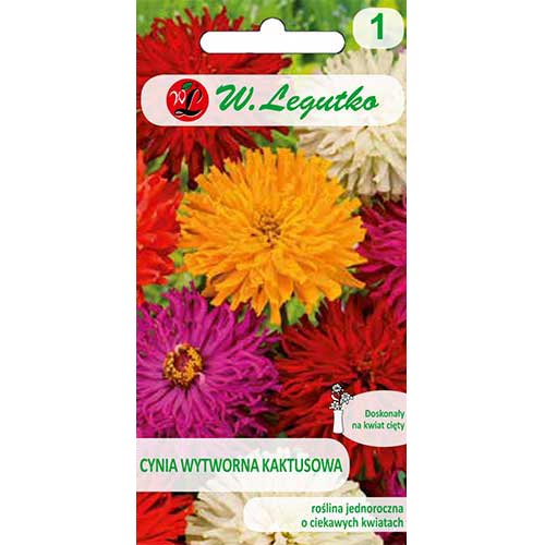 1 pac, Zinnia (Cârciumăreasă) tip cactus, mix multicolor - Semințe: Mod de ambalare: 2 g