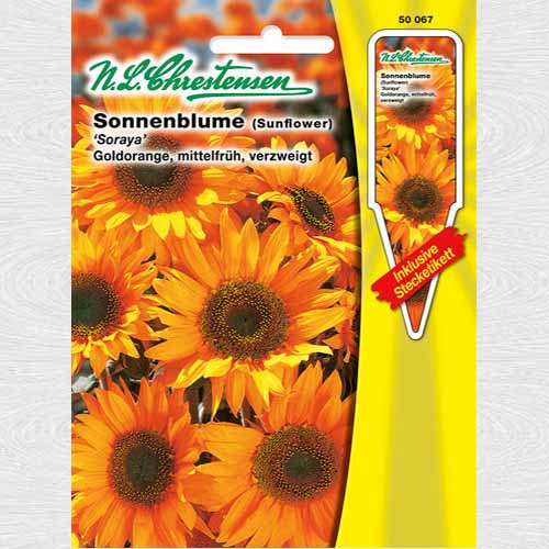1 pac, Floarea soarelui decorativă Soraya - Semințe: Mod de ambalare: 1 pac
