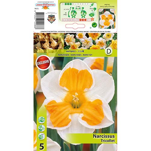 5 buc, Narcise Tricollet - Bulbi: Mod de ambalare: 5 buc