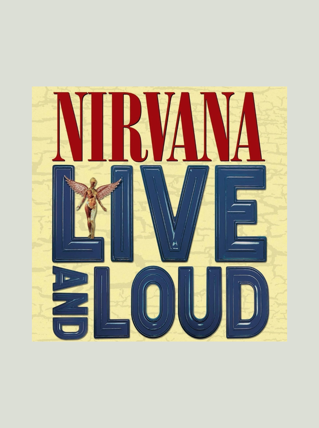 Płyta winylowa Nirvana - Live And Loud (180g)