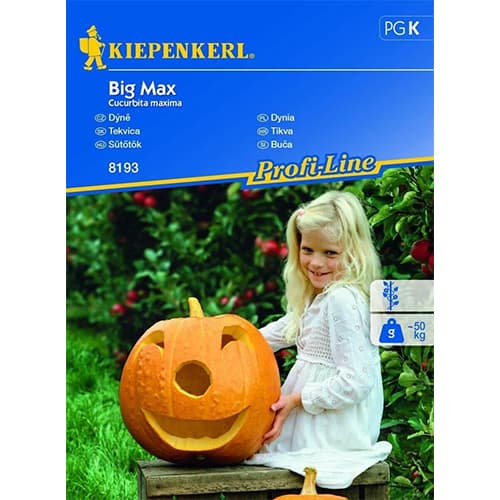 1 ob, Obrovská tykev Big Max - : Monžstvo balíkov: 1 ob