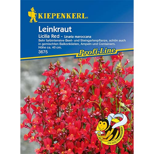 1 ob, Lnice marocká Licilia Red - : Monžstvo balíkov: 1 ob