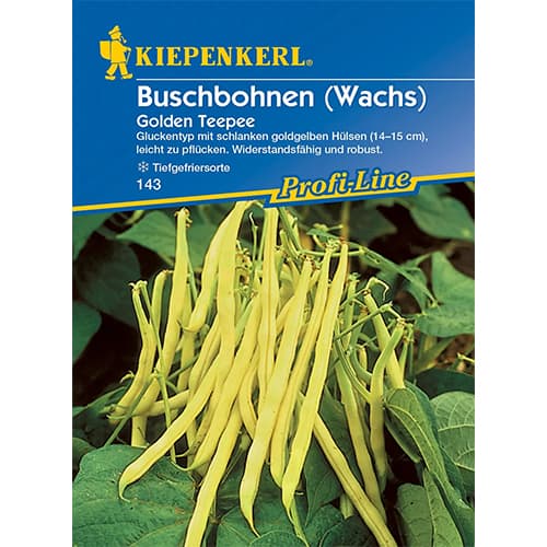 1 szt, Buschbohne Golden Teepee Kiepenkerl - Samen: Ilość w opakowaniu: 1 Stück