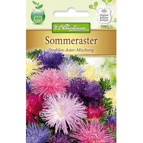1 szt, Sommeraster Strahlen - Aster - Samen: Ilość w opakowaniu: 1 Stück
