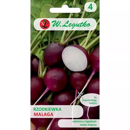 1 szt, Rettich Malaga - Samen: Ilość w opakowaniu: 5 g