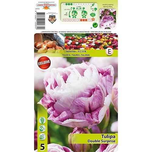 5 none, Tulpe Double Surprise - Blumenzwiebeln: Ilość w opakowaniu: 5 none