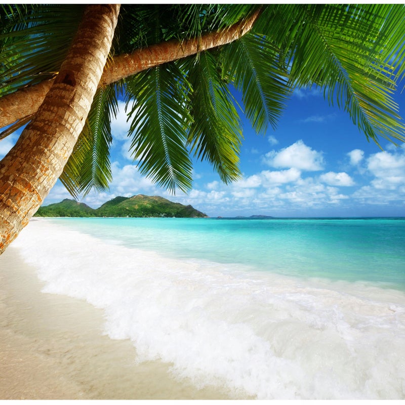 Fototapeta Plaża Palmy Piasek Ocean Natura 300x210 cm Tapeta Do Sypialni Salonu Kuchni Na Flizelinie