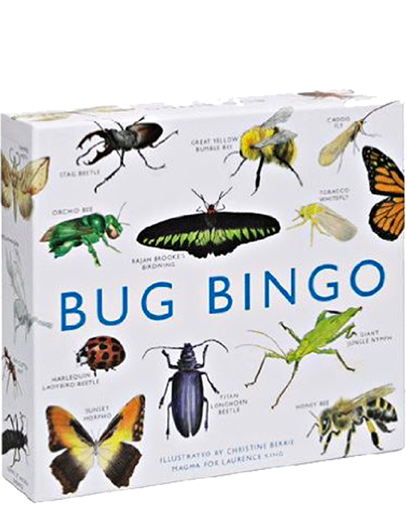 Bug Bingo