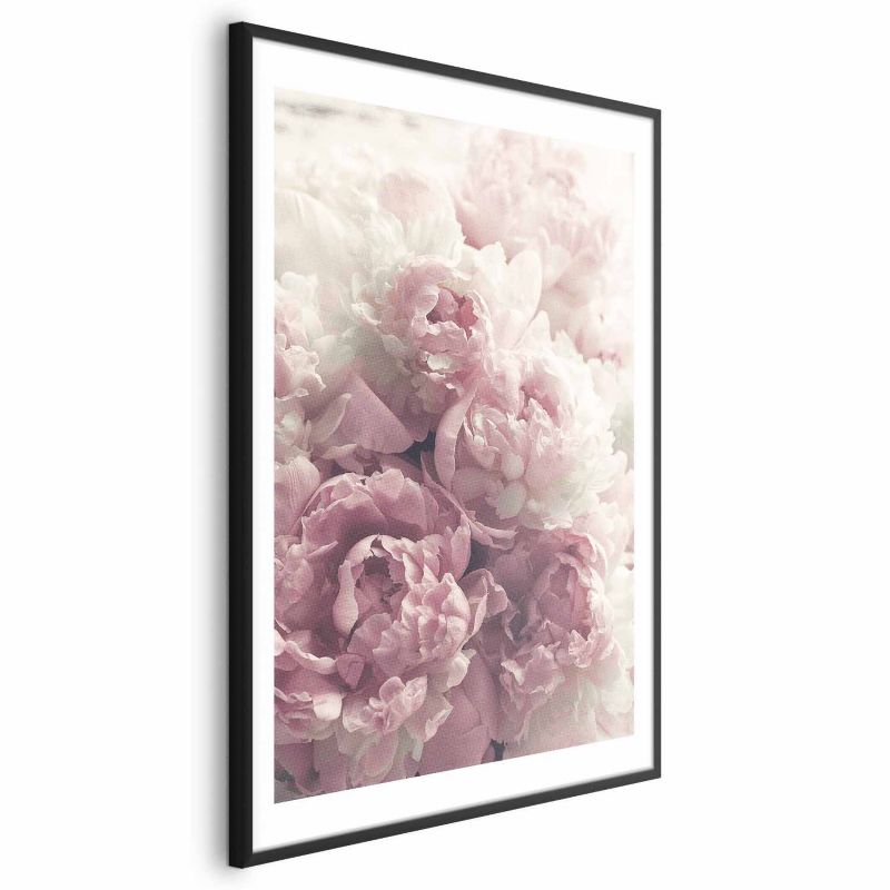 Plakat Artgeist Delikatne piwonie 60x90 cm z ramą czarną 1 szt