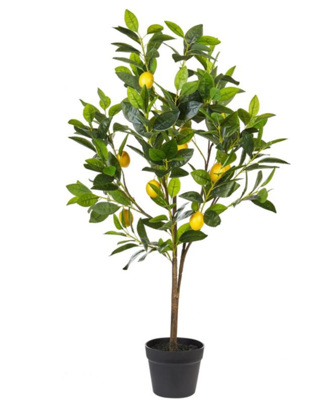 Sztuczna roślina Lemon tree Zielony 1 szt.