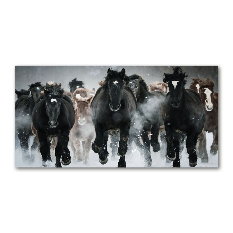 Obraz canvas Tulup Stado koni 120x60 cm 1 szt.