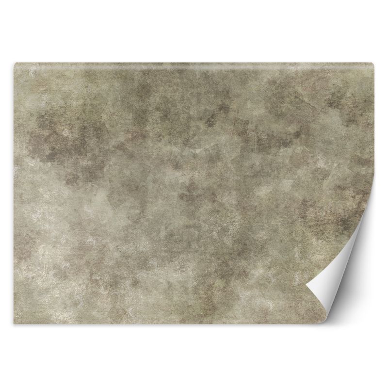 Fototapeta Feeby Kamienna ściana 350x245 1 szt