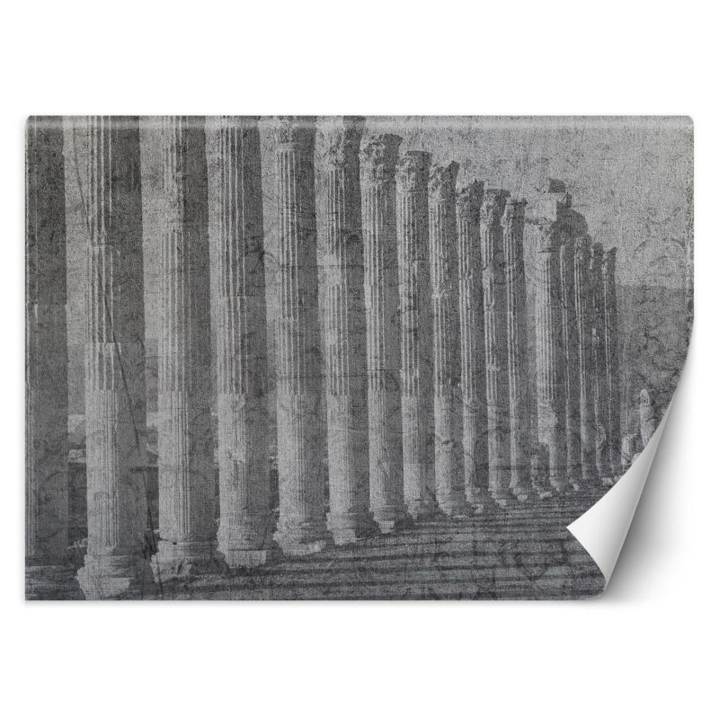Fototapeta Feeby Antyczne kolumny 450x315 1 szt