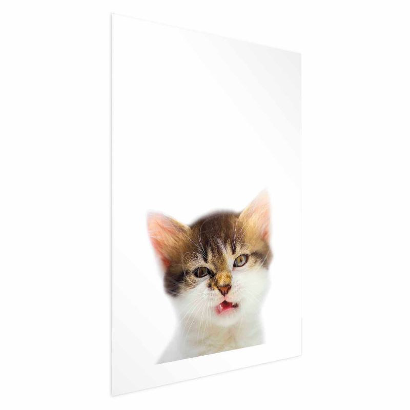 Plakat Artgeist Zirytowany kot 21x30 cm bez ramy 1 szt