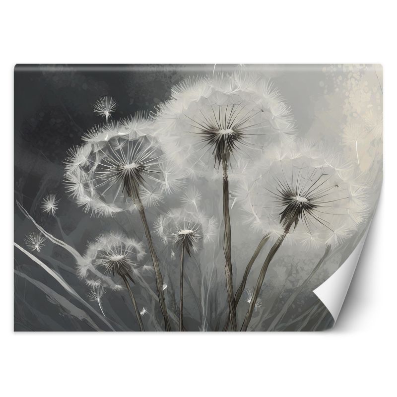 Fototapeta Feeby Zbliżenie na dmuchawce 200x140 1 szt