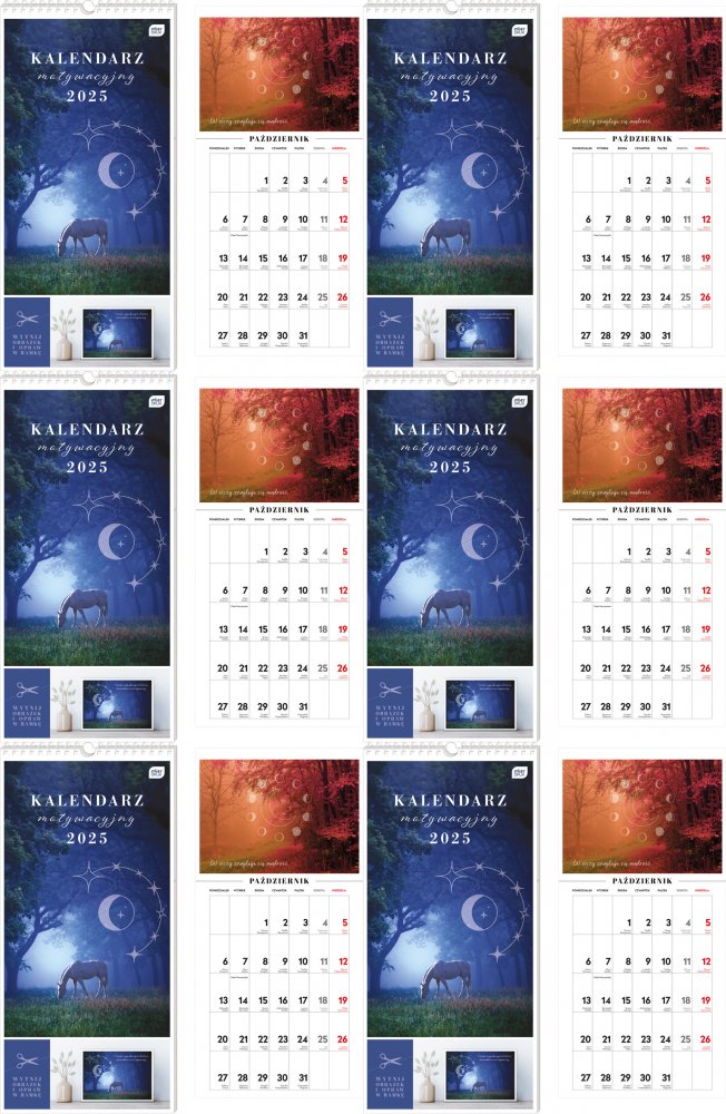 6x Kalendarz ścienny 2025, Interdruk, motywacyjny, 220x460mm, magia