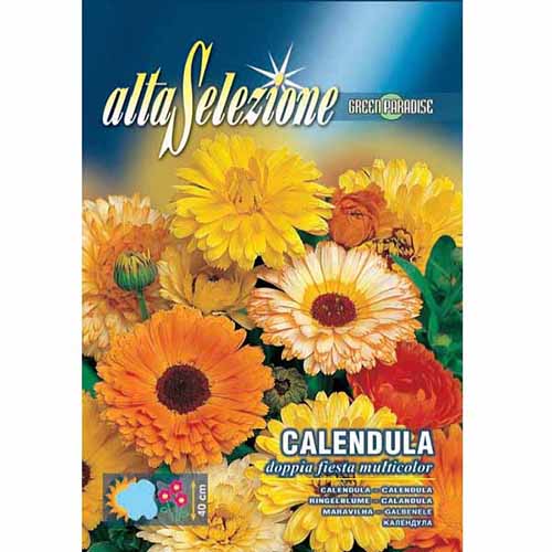 1 pac, Găbenele Sărbătoare dublă, mix multicolor - Semințe: Mod de ambalare: 2.5 g