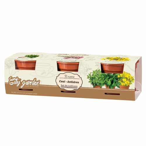 1 pac, Set de cultivare - Ceai antistres - Semințe: Mod de ambalare: 1 pac
