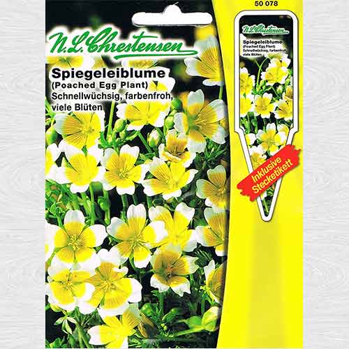 1 pac, Limnanthes douglasii (Planta ou fiert) - Semințe: Mod de ambalare: 1 pac